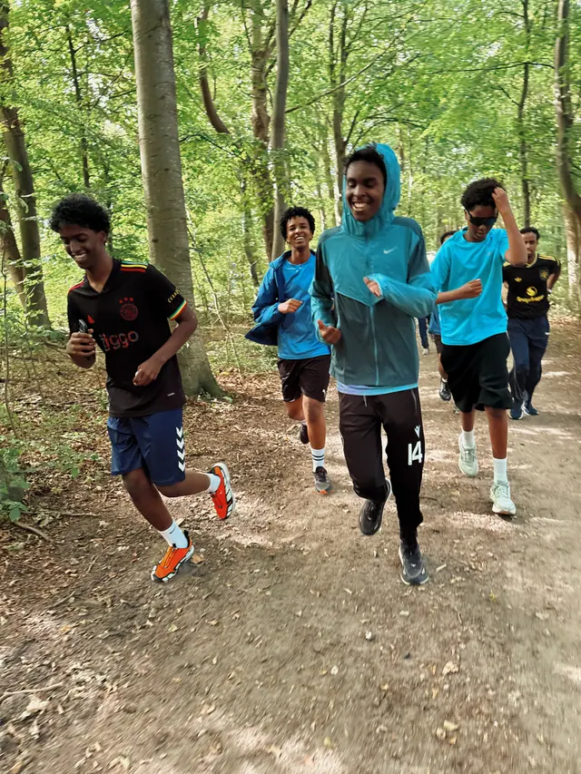 A group of runners in the woods