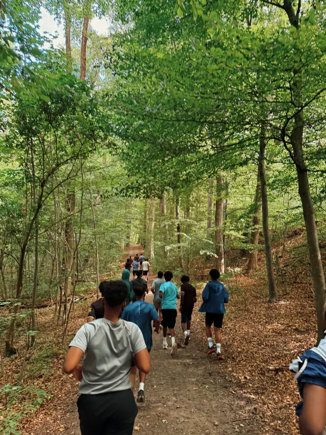 A group on a forest path