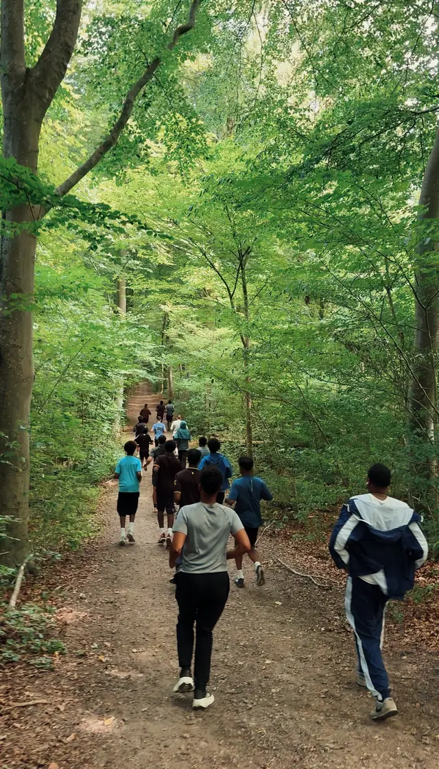 Runners on a forest trail